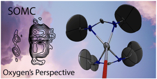 SOMC Oxygen's perspective