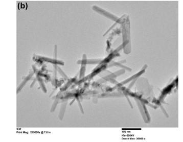 TEM image at 100 nm scale