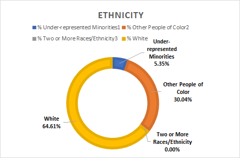 ethnicity chart