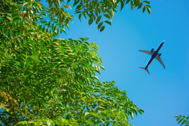 stock image, green aviation