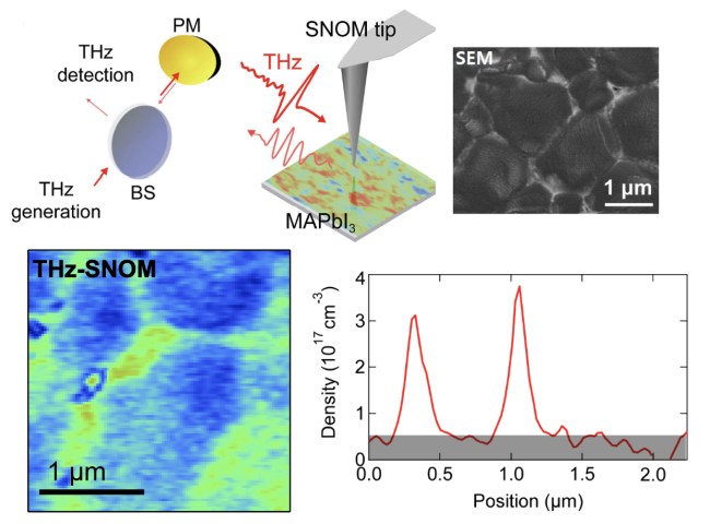 perovskite grain boundaries