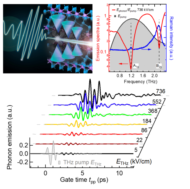 Depiction of Raman coherence