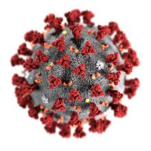 illustration of coronavirus